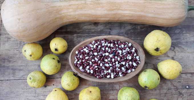 galeriadefotos 11.jpg