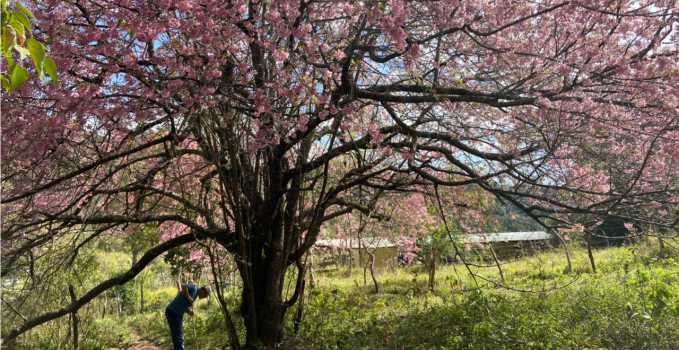 galeriadefotos 3.jpg