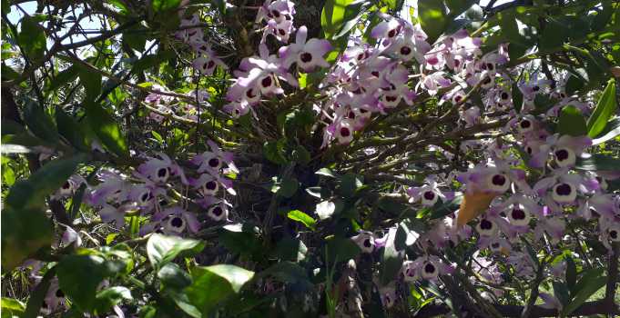 galeriadefotos 8.jpg