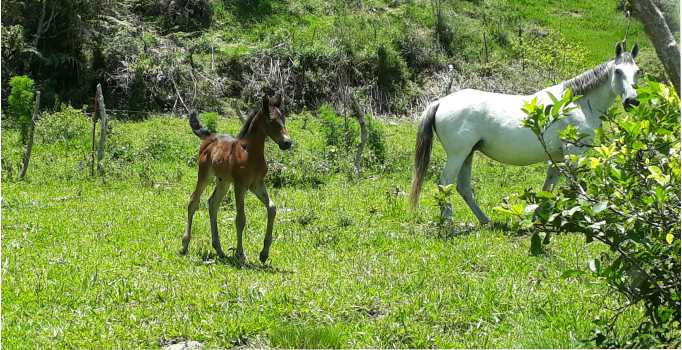 galeriadefotos 4.jpg