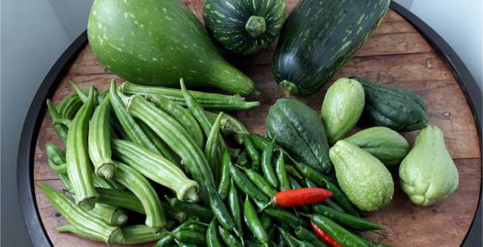 galeriadefotos 9.jpg